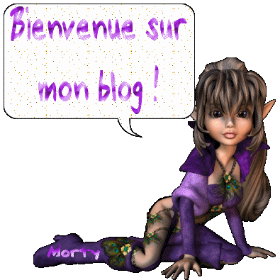 D&eacute;couvrez ma boutique en ligne!