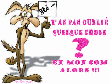 Maintenant je vais vous pr&eacute;senter une partie du calendrier des Dieux du stade 2006.